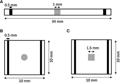 Extended Bidomain Modeling of Defibrillation: Quantifying Virtual Electrode Strengths in Fibrotic Myocardium